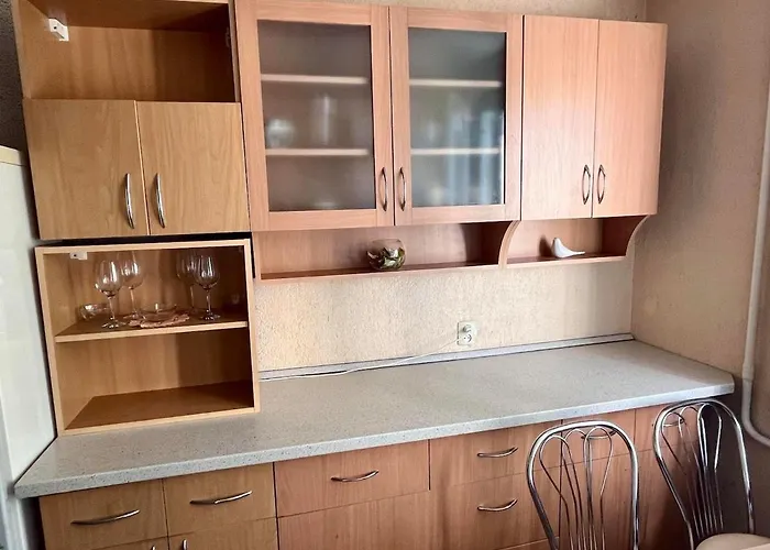 Apartment In The City Kaunas