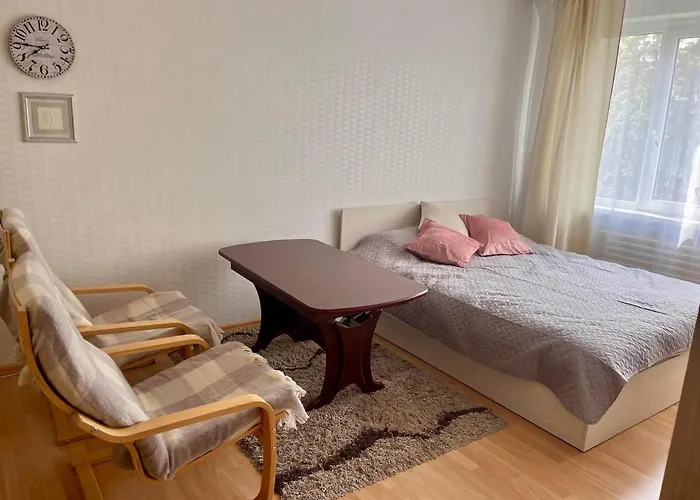 Apartment In The City Kaunas