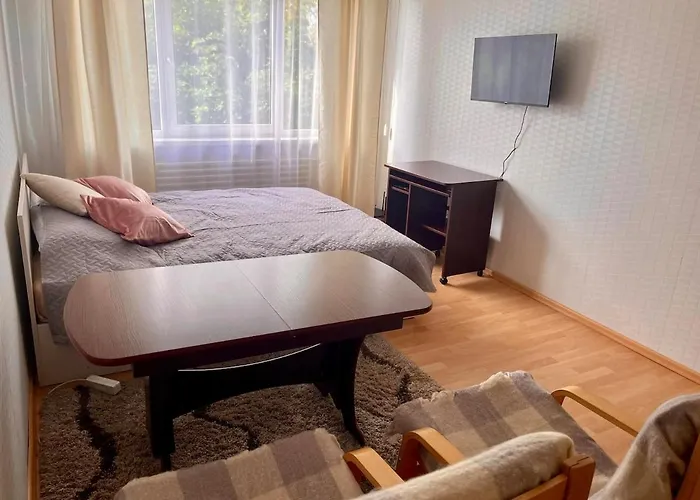 Apartment In The City Kaunas